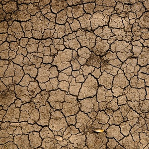 drought dry ground