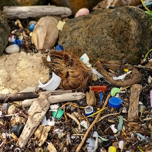 plastic pollution beach