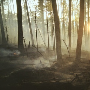 peatland forest fire smolder smoke