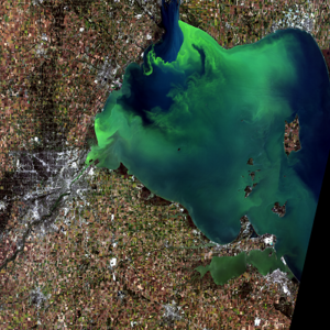 satellite algal bloom NASA USGS Erie