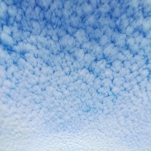 altocumulus clouds