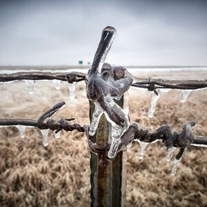 ice storm freezing rain