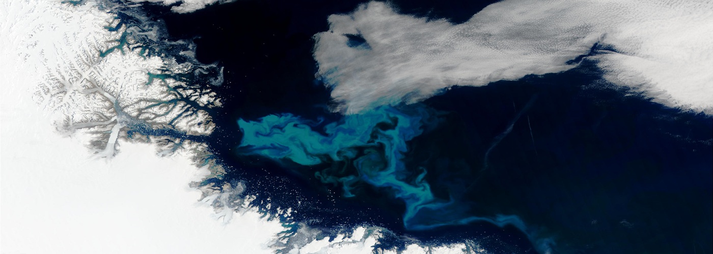 Satellite bloom NASA 2003