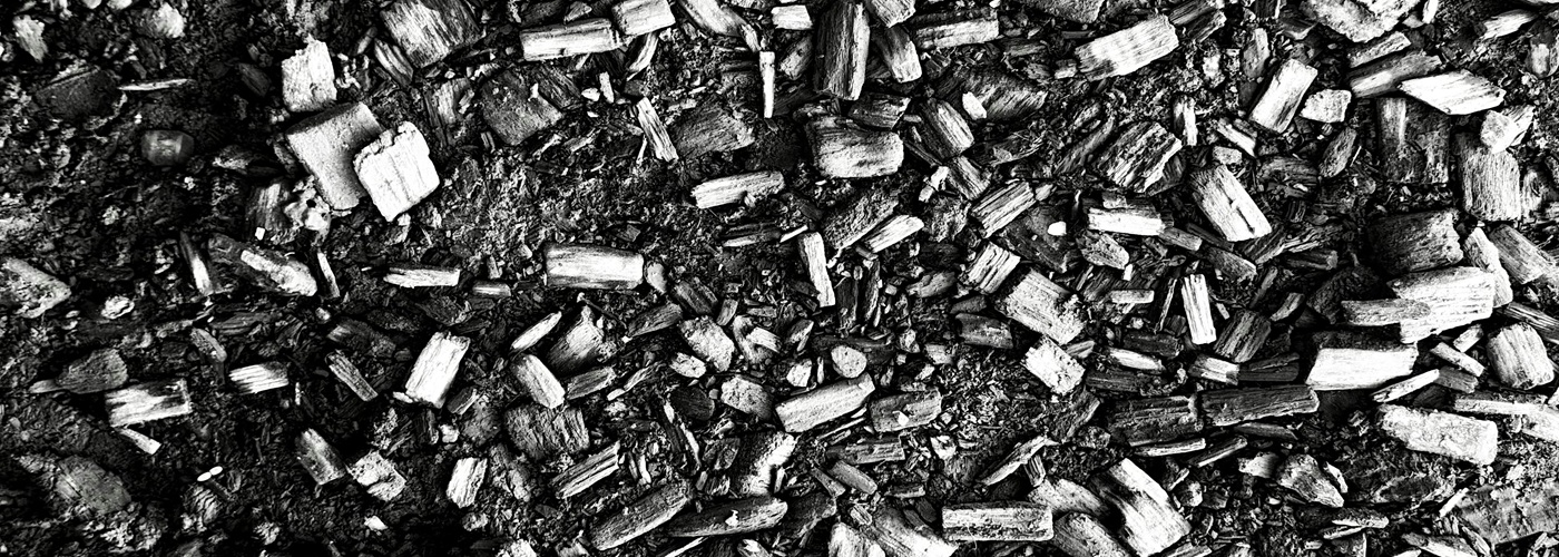 biochar coals