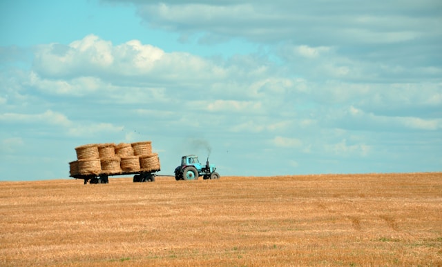 Tractor hauls hay
