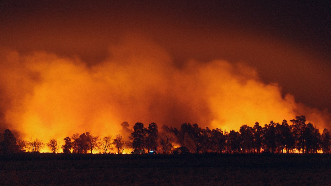 A large wildfire burns.
