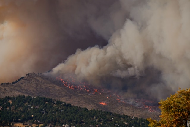 fire wildfire