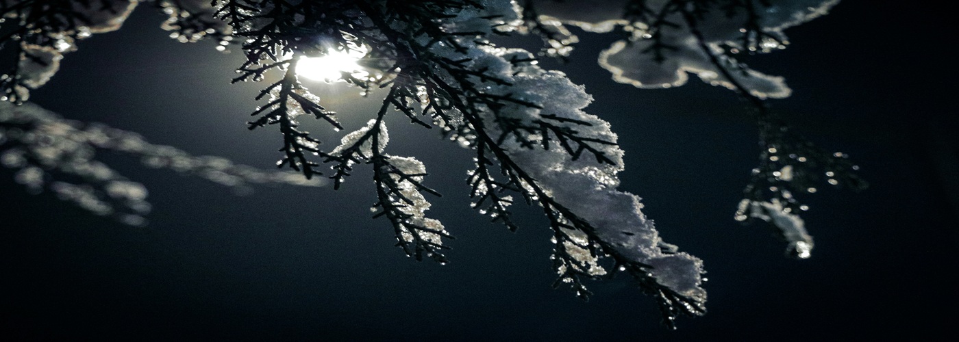 moon snow winter