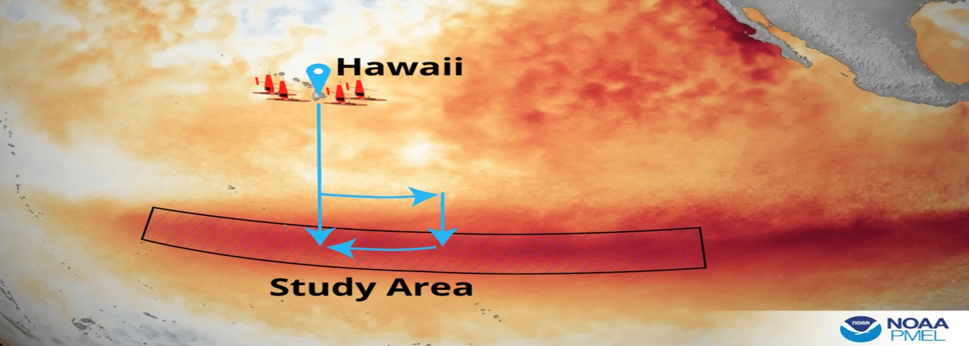 saildrones Hawaii pacific